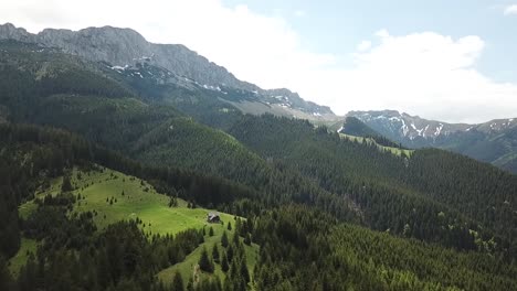 above the pine forest in the mountains