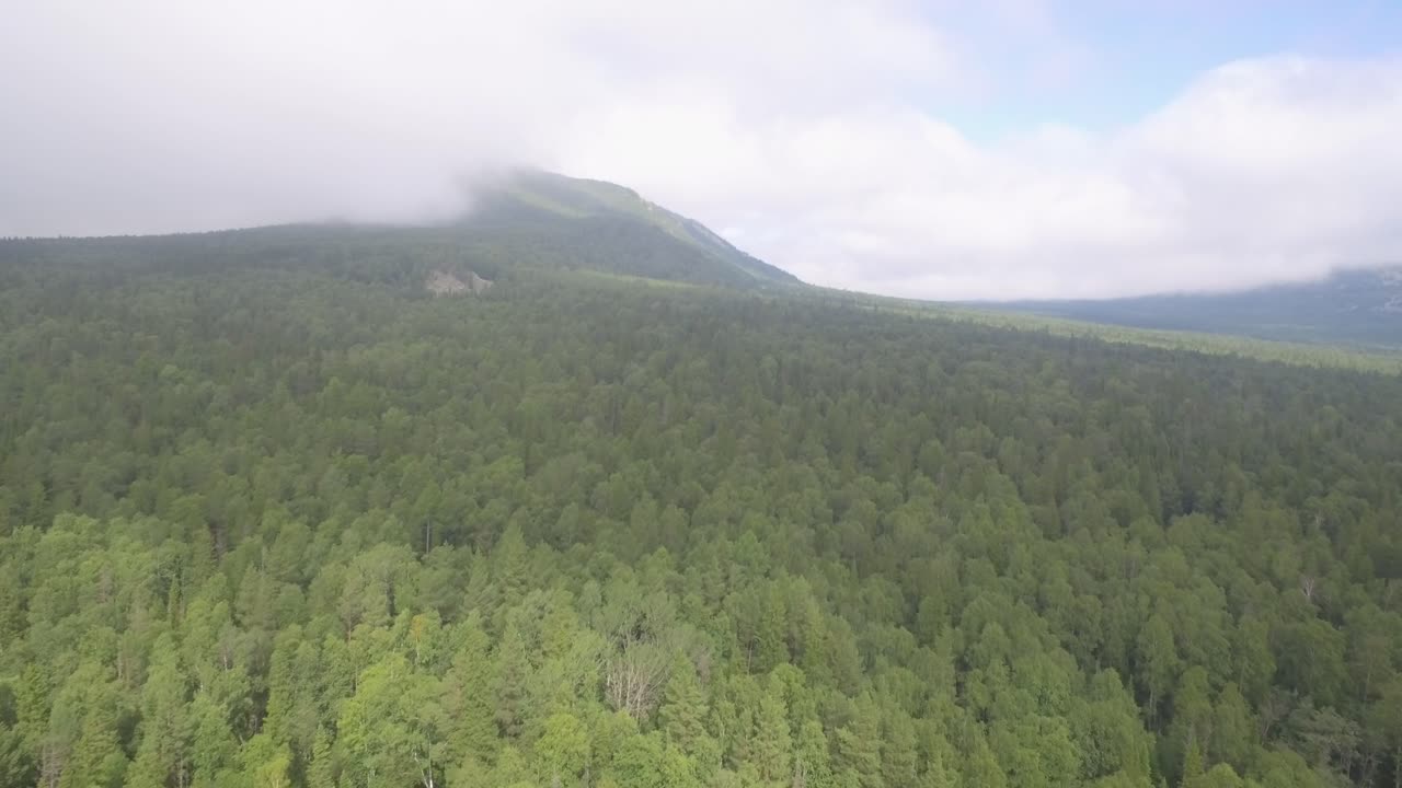 안개가 가득한 산 숲