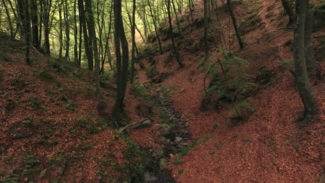 Dense-forest-and-small-ravine-in-Spain,-aerial-fly-forward-view