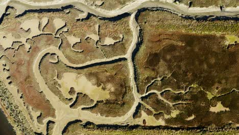 Salt Marshes Of The Natural Reserve Of Lilleau Des Niges On The Ile De R&eacute; Island