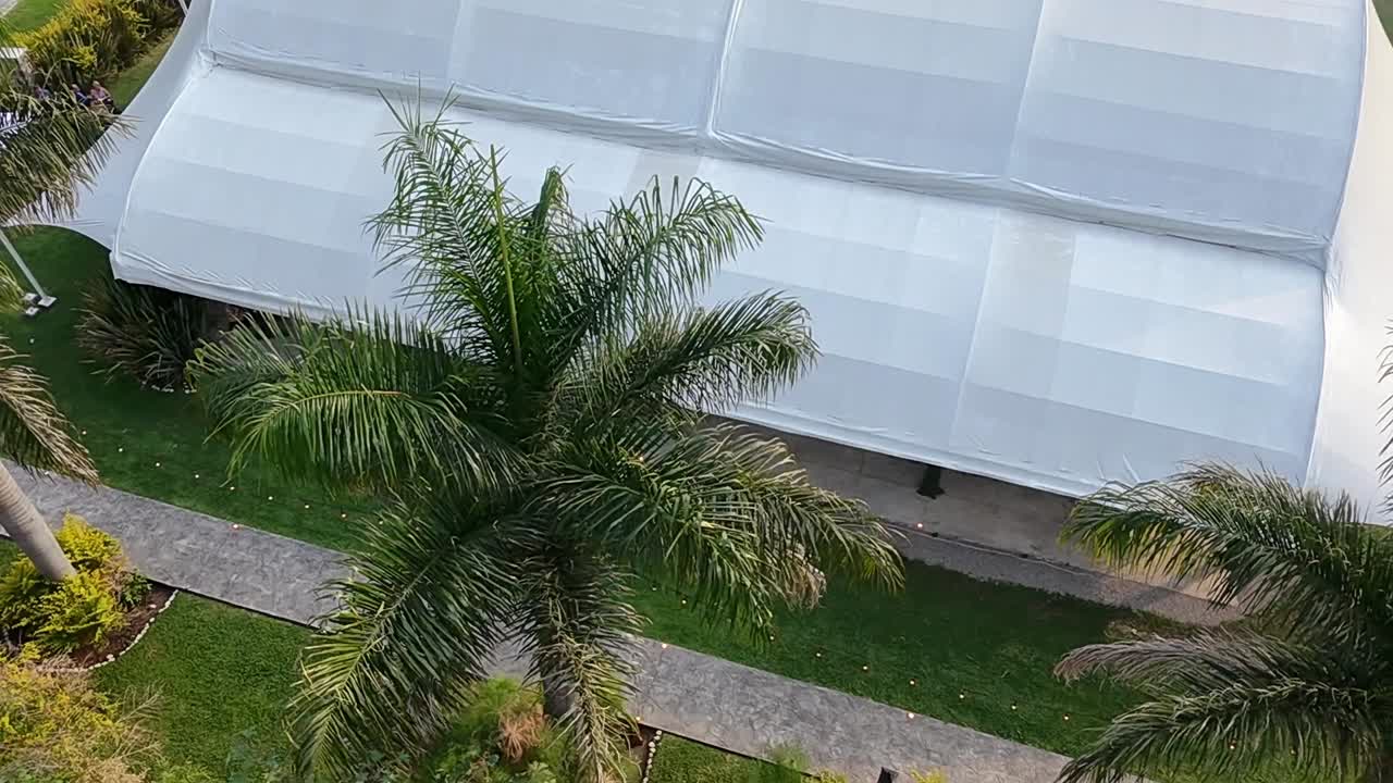 Green garden with palm trees and white tent at Jardin Villa Cortés Morelos