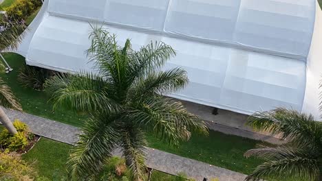 green garden with palm trees and white tent at jardin villa cortés morelos