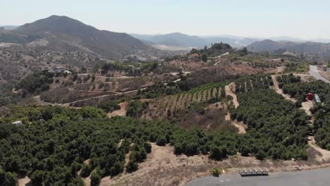 Weinberg-In-Südkalifornien,-Langsamer-4K-Drohnenrückzug