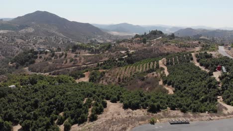 viñedo del sur de california lento 4k drone lento retroceder