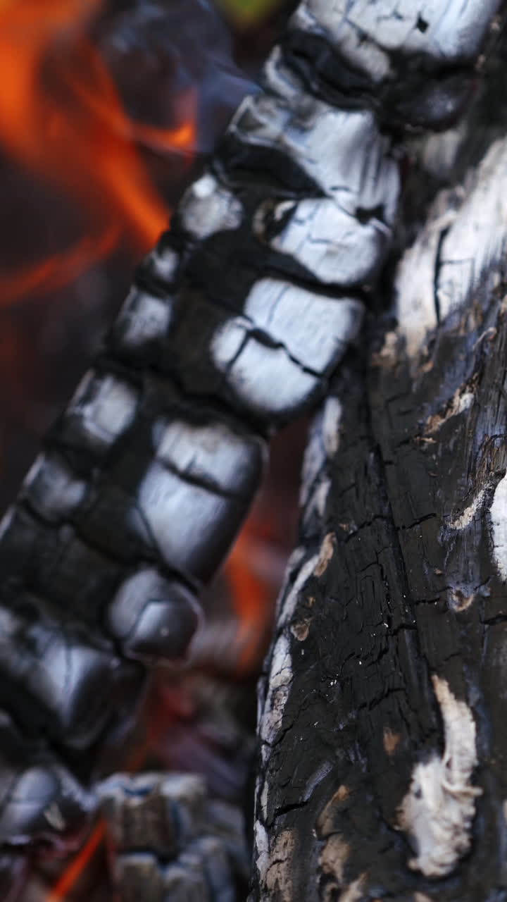 Charcoals in fire. White and black smoldered logs background. Wood turning into ash in fire. Close-up. Vertical video