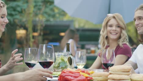 people cheering with drinks at outdoor dinner party