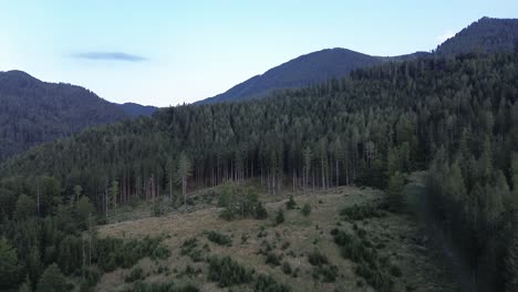 Bosque-Negro-De-La-Baja-Austria-Cerca-De-Semmering-Filmado-Con-Drones-Desde-Arriba-En-4k-Durante-El-Día-De-Verano