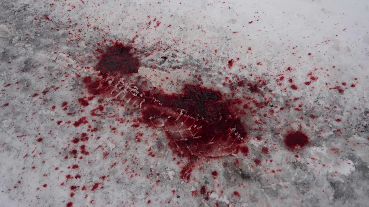 huellas de neumáticos sobre sangre fresca en un camino nevado, de mano de ángulo alto