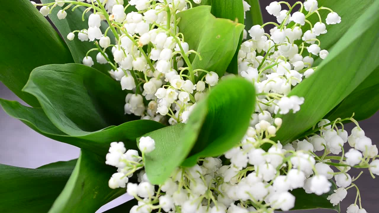 Spring flowers. Lilies of the valley in a vase
