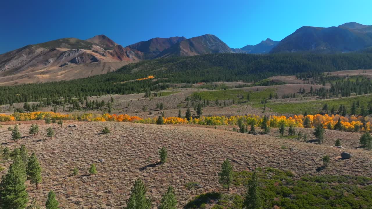 Mammoth Mountain Lakes Ski Area Sierras Nevadas Crowley Lake Mary Convict Canyon Volcom Brother Skatepark aerial drone California summer autumn fall yellow Aspen Trees sunny blue sky circle left moti