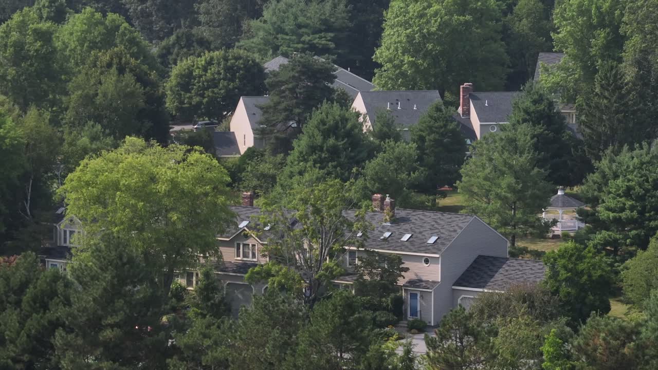 American two-story houses and homes between dense green trees in suburbia of town. Aerial rising shot. Sunny summer day in Massachusetts state