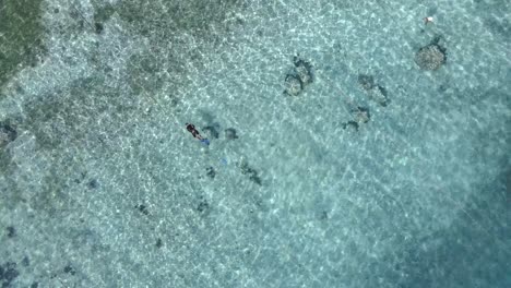 aerial top down shot of male person swimming,diving and snorkeling with wetsuit in clear asian ocean