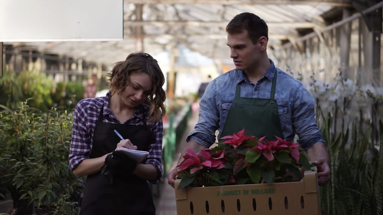 guapo jardinero en camisa y delantal verde que lleva una caja de cartón con plantas de flores rosadas mientras camina con su colega - una chica agradable haciendo notas. caminando entre flores levantadas en una fila de invernadero interior y discutiendo momentos de trabajo