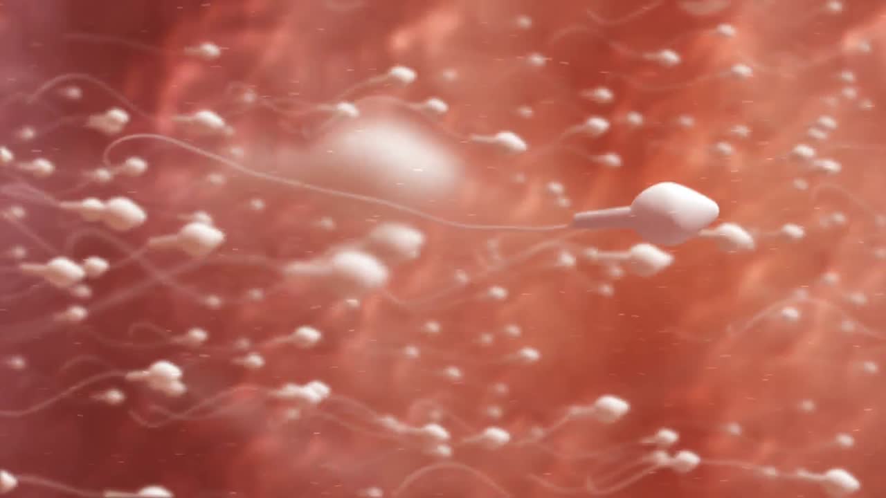 un óvulo en movimiento siendo fertilizado por espermatozoides