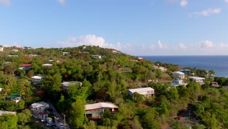 subida aérea que muestra la vivienda tortola y la naturaleza en las islas vírgenes británicas