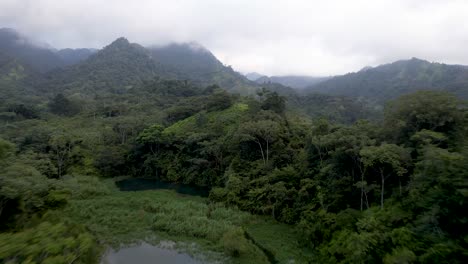 Misty-green-forest-landscape-of-Central-American-jungles,-Honduras