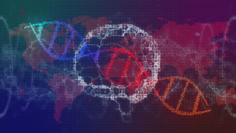 animación de cadena de adn, cerebro humano sobre mapa del mundo y procesamiento de datos científicos
