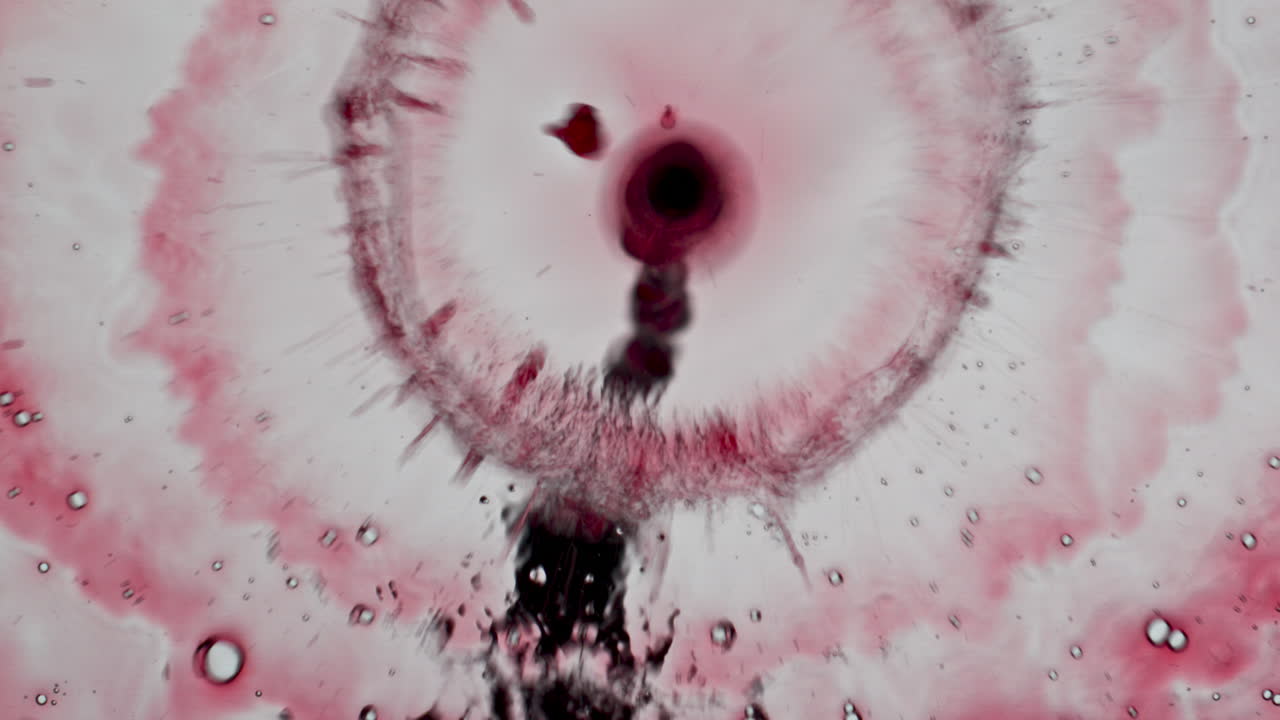 elegancia copa de llenado de bebida roja de primer plano. vertido de líquido vaso de vino limpio