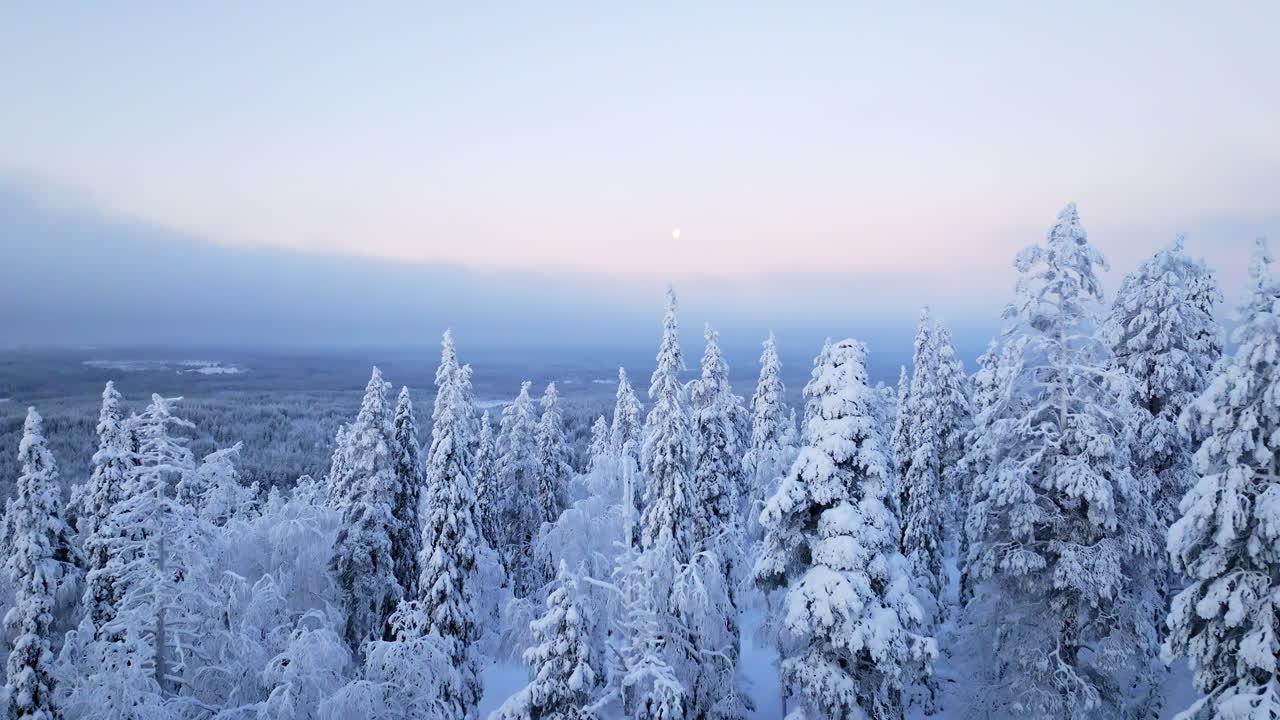 Luftfoto over frossen skov, måne og polarnattens farver, vinter i Lapland