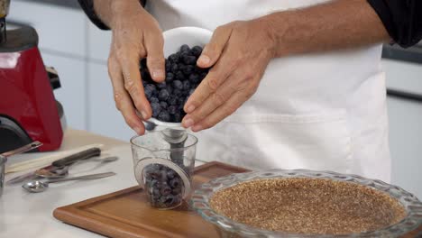 agregar arándanos a la taza para hacer un pastel de queso vegano casero sin lácteos a base de plantas dieta saludable
