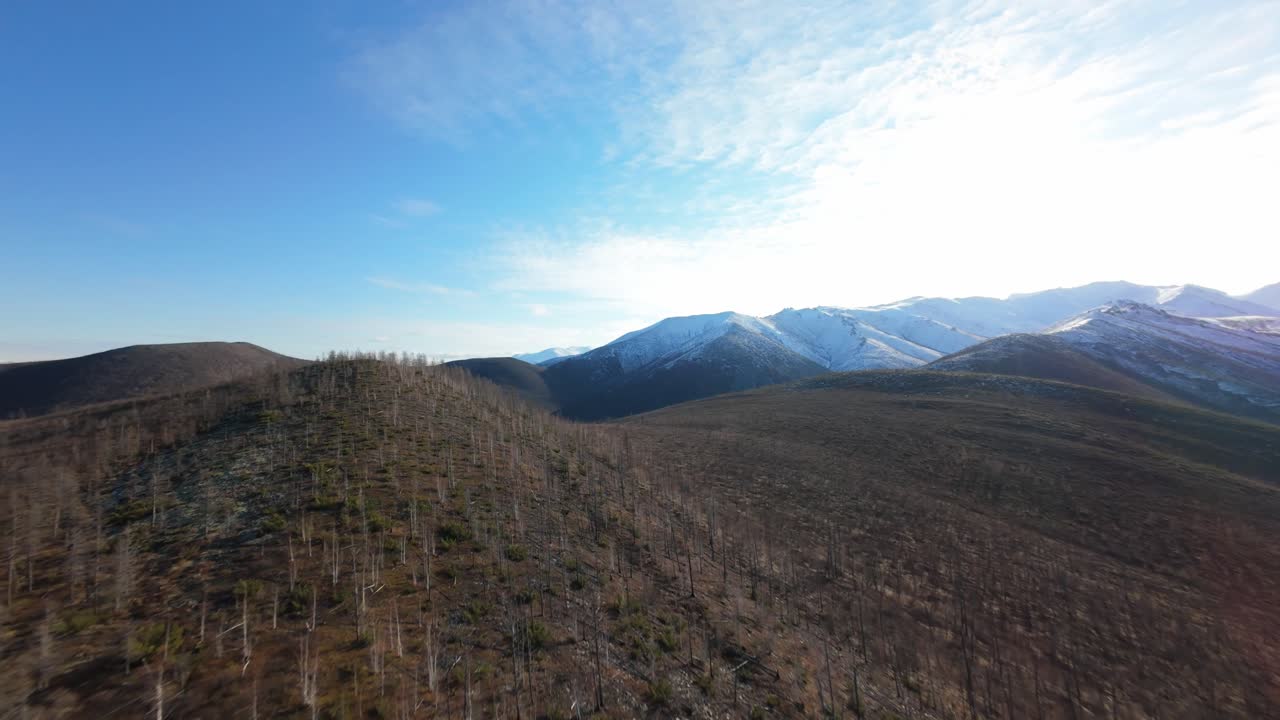 Aerial View of Snow-Covered Mountains and Forest