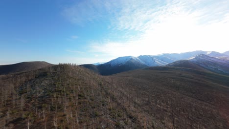aerial view of snow-covered mountains and forest