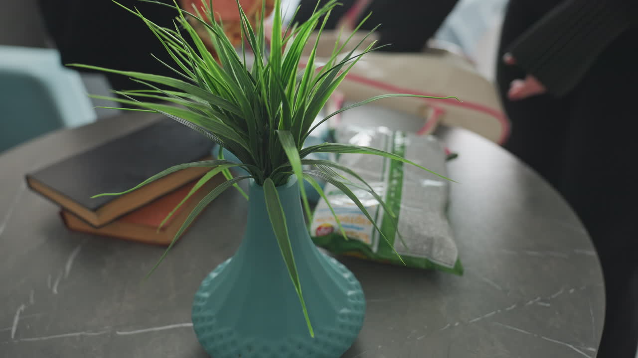 close up of decorative plant on table as two women unpack cheese and bread dropping snacks beside travel bag on modern kitchen table with soft natural light
