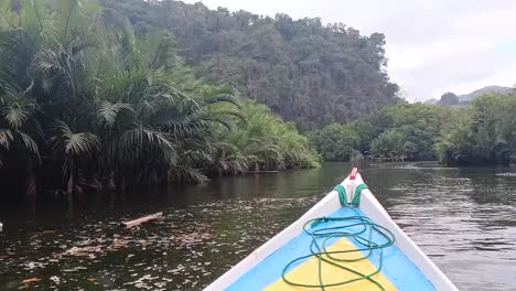 the boat sailing on the river through the mangrove forest