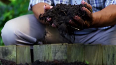 senior man digging in the soil to dig plant