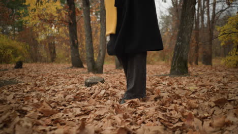 lower angle view of person walking through forest with dry foliage, wearing canvas shoes and black jeans, moving majestically among fallen autumn leaves