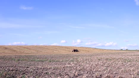 wide shot of field with a tractor on it