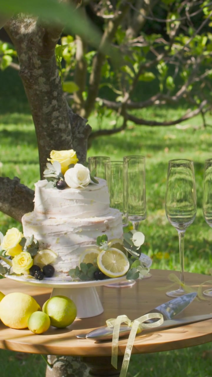 Video verticale: La telecamera si avvicina con la brezza che solleva le foglie, mostrando una torta glassata in giardino per una festa.