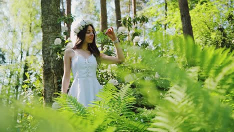 a peaceful moment as woman admires fern in bright forest near white blooms