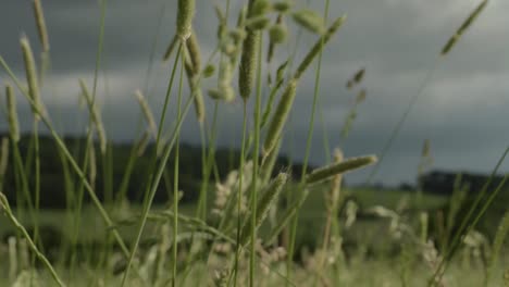 Sturm-Nähert-Sich-Dunklen-Himmeln-Mit-Gras,-Das-Im-Wind-Weht