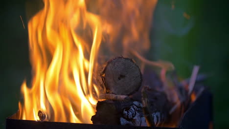 firewood burning in the furnace