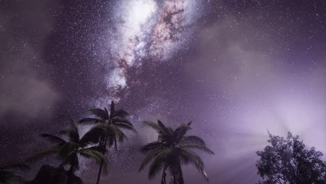 milky way galaxy over tropical rainforest.