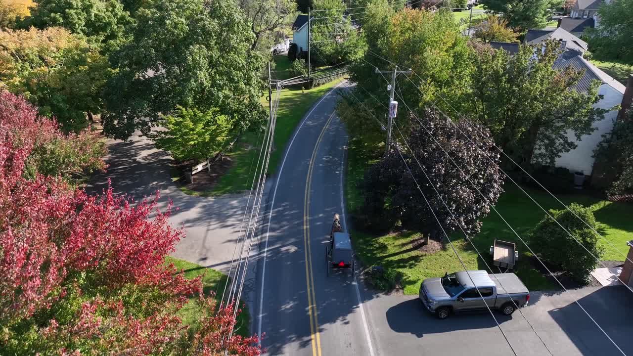Amish horse carriage on street of american neighborhood during sunny autumn day. Colorful trees in rural suburb of USA. Rising drone top down.