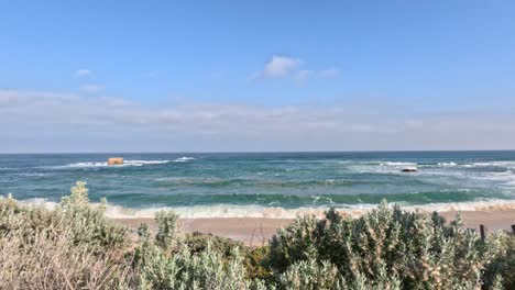 waves crashing on the shore with coastal vegetation