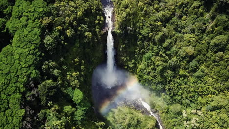 downward aerial of rainbow by water and forest at akaka falls, hawaii