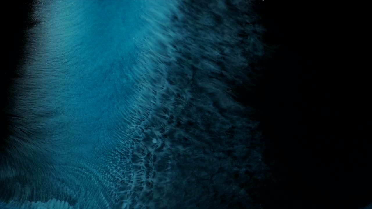 голубая ящерица делает свою кожу на ваших глазах