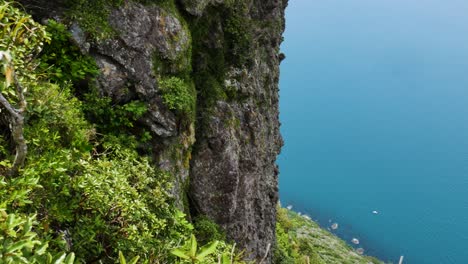 beautiful top down shot of overgrown mountain cliff and blue colored ocean during sunny day - te whara track hike in new zealand