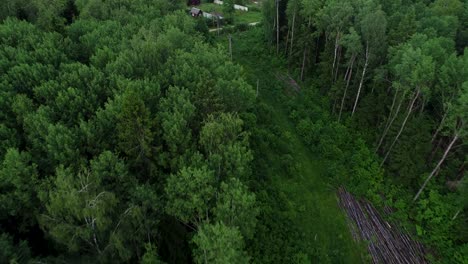 a beautiful little village or township in a green summer forest.