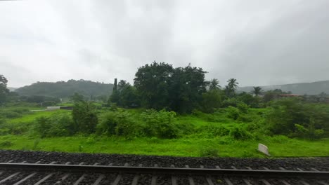 greenery hyper laps view from train window