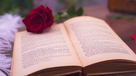 Book-with-a-crimson-rose,-zooming-in-on-a-paragraph,-symbolizing-the-concept-of-romance-and-literature