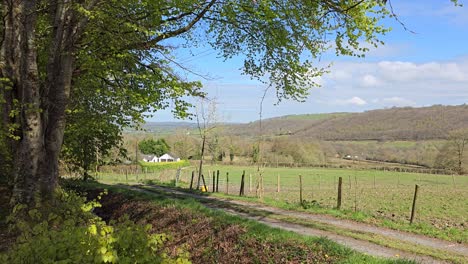 view across welsh valley in early spring, with green fields and beech tree just coming into leaf