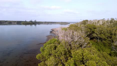 Aerial-perspective-of-a-tranquil-river-bordered-by-lush-forests,-The-untouched-beauty-of-a-natural-landscape