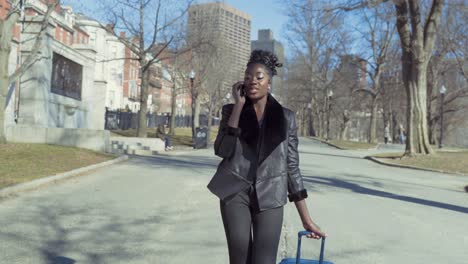 fashionable young african american business woman walking through park with luggage while talking on phone traveling on a sunny day