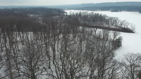 Aerial-shot-of-empty-winter-forest-on-the-shores-of-a-frozen-snow-covered-lake