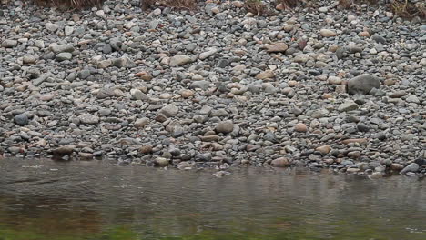 Flacher-Fluss-Fließt-An-Schattigen,-Glatten-Flussfelsen-Vorbei