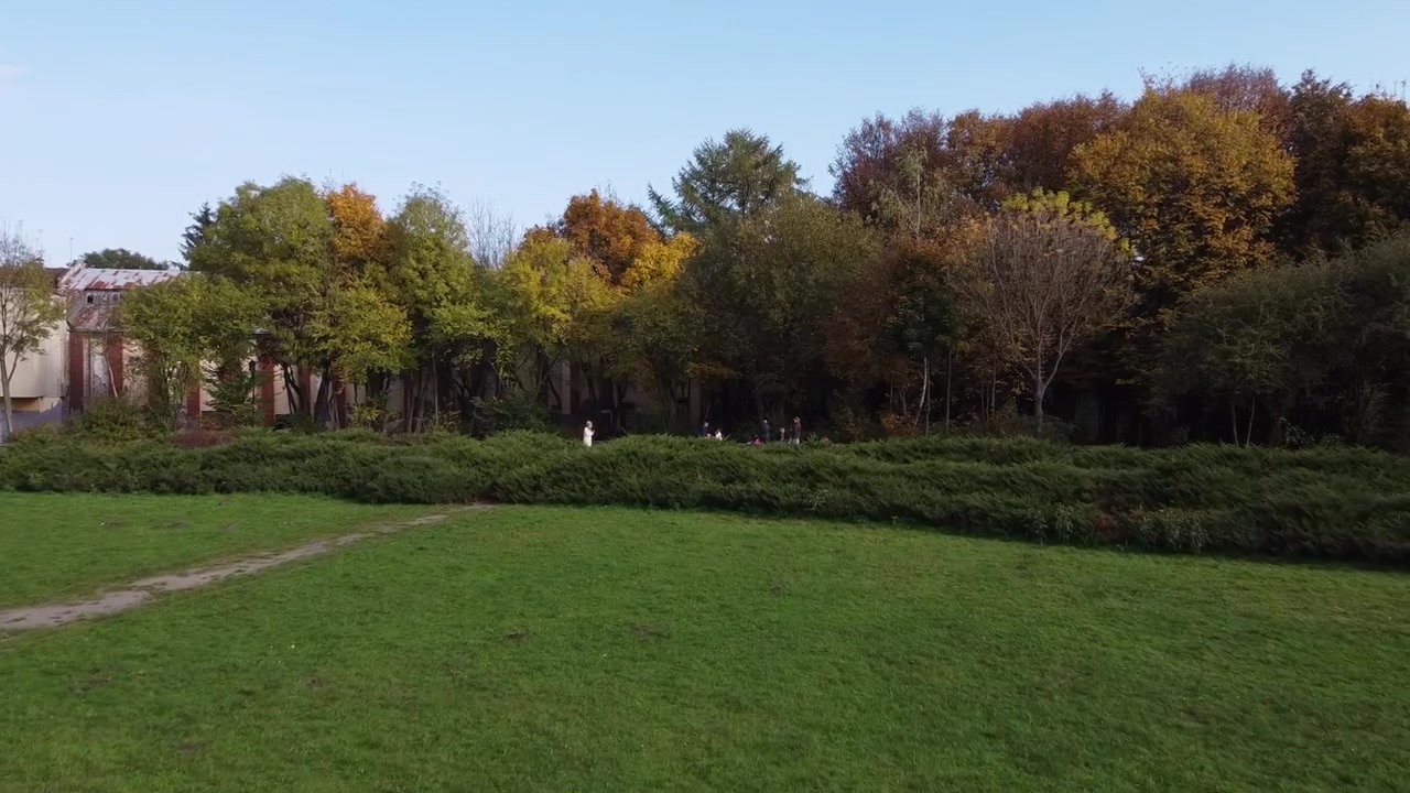 Ilmakuva puiston yllä lentävästä dronesta